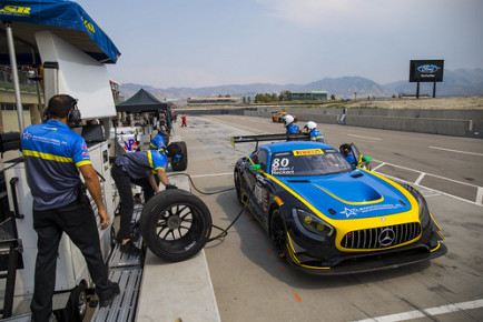 Photo: Halston Pitman/LSR