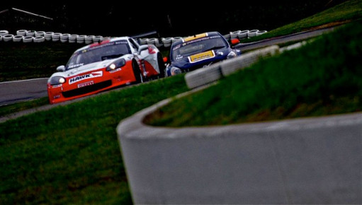 29811245410_8fed18b14a_b