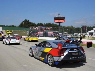 30105473455_95cc3e6665_b