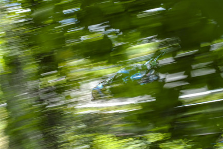 IMSA Lime Rock Park Park, 2023
