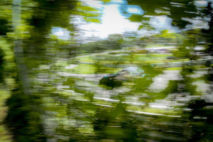 IMSA Lime Rock Park Park, 2023
