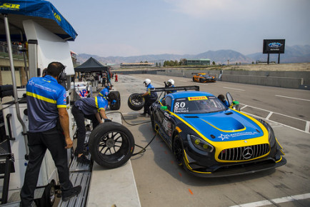 Photo: Halston Pitman/LSR